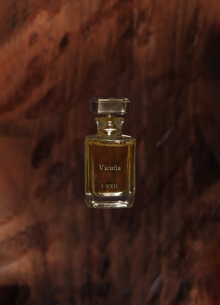 Vicuña