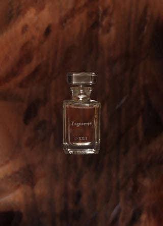Yaguareté