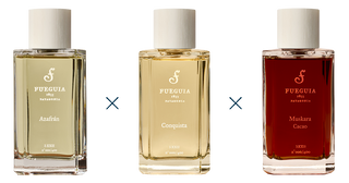 コンポジション | FUEGUIA 1833 Japan – FUEGUIA 1833 Japan Online