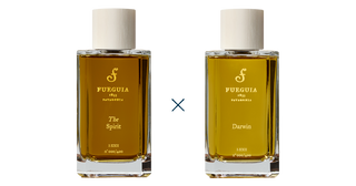 フエギア1833|コンポジション|Spirit of Darwin – FUEGUIA 1833 Japan フエギア1833|コンポジション|Spirit of Darwin – FUEGUIA 1833 Japan