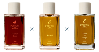 フエギア　トニコ　シネレア Bitácora de Composición - IX-XXIII｜ビタコラ デ コンポジション