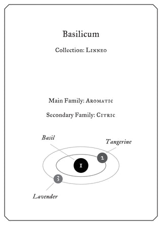 Basilicum - Sample