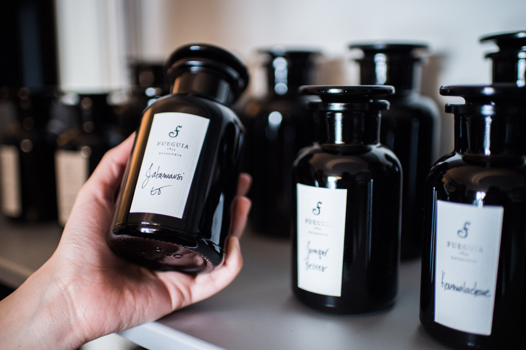 Thays｜タイス– FUEGUIA 1833 Japan Online