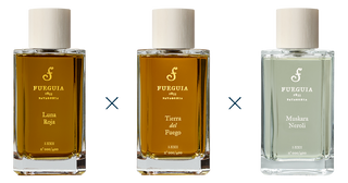 フエギア1833|コンポジション|ホットワイン – FUEGUIA 1833 Japan フエギア1833|コンポジション|ホットワイン – FUEGUIA 1833 Japan