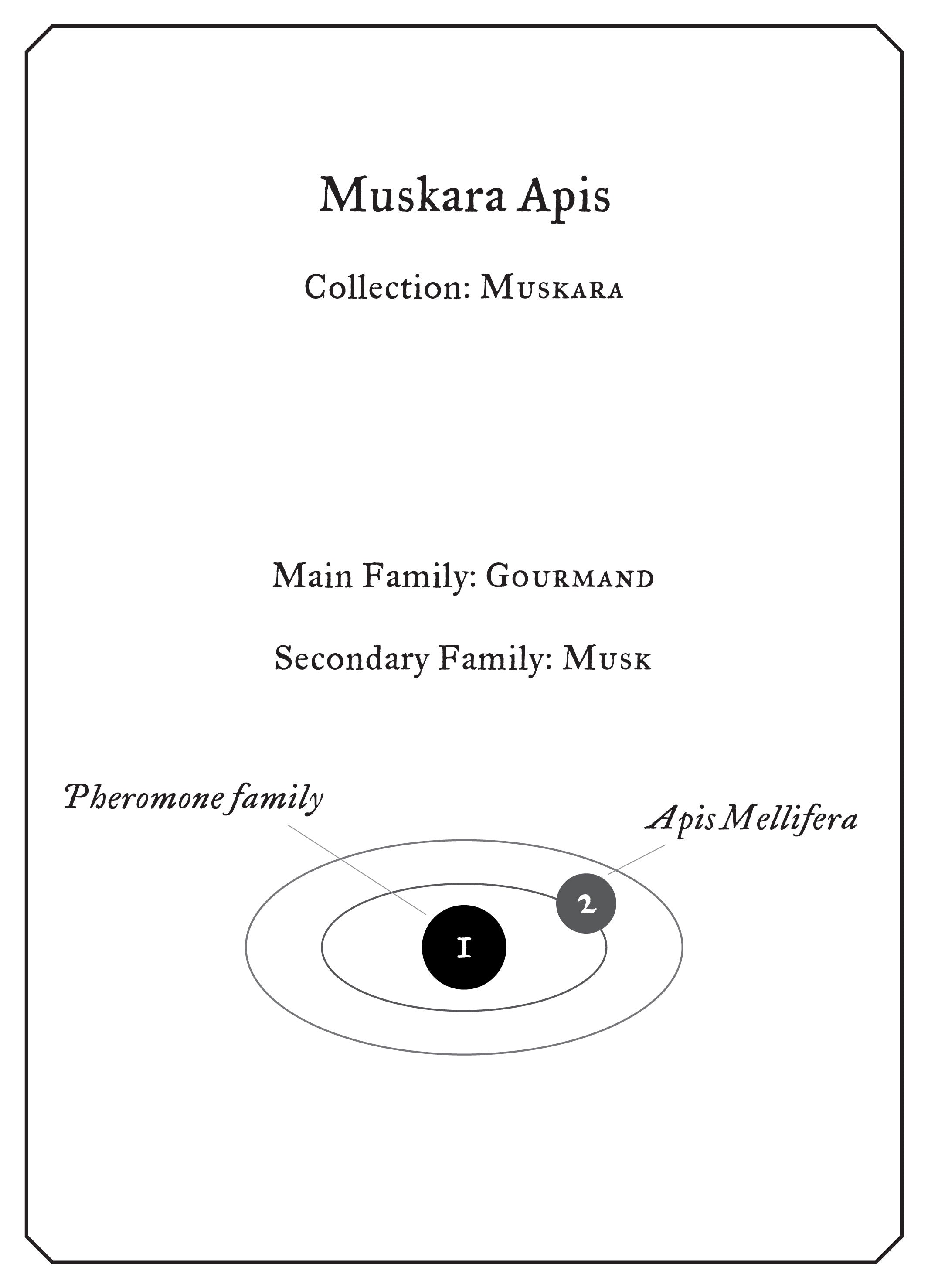 Muskara Apis