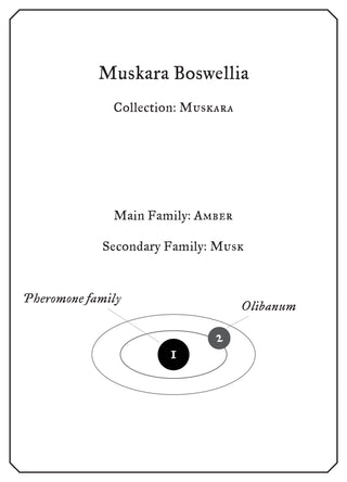 Muskara Boswellia - Sample