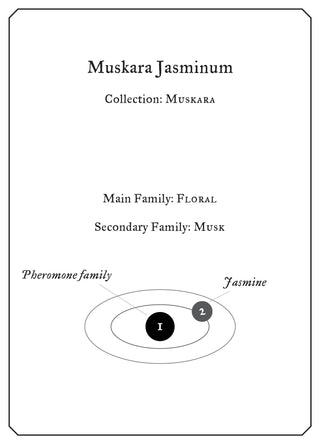 Muskara Jasminum - Sample