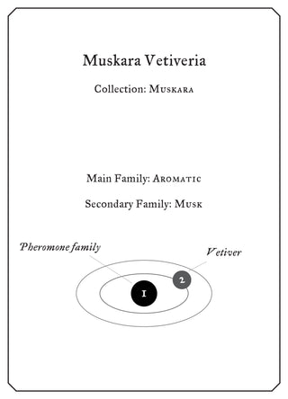 Muskara Vetiveria - Sample