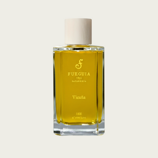 フエギア1833|ギャラリストコメント|Vicuña ビクーニャ – FUEGUIA フエギア1833|ギャラリストコメント|Vicuña ビクーニャ – FUEGUIA