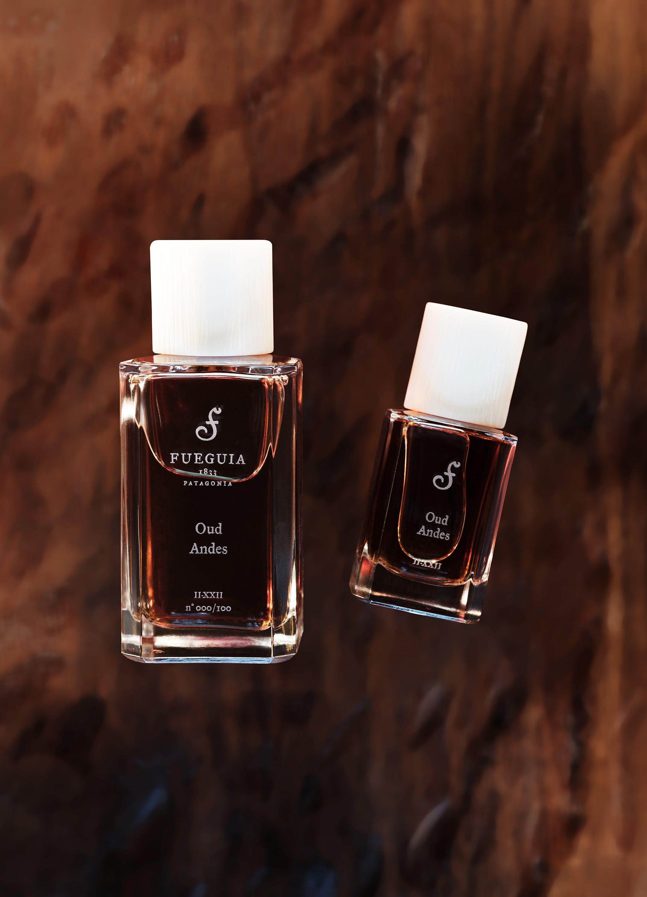 Oud Andes – FUEGUIA 1833 Japan Online